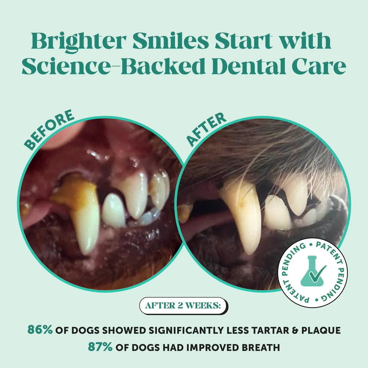 Fresh Breath Dental Powder for Dogs