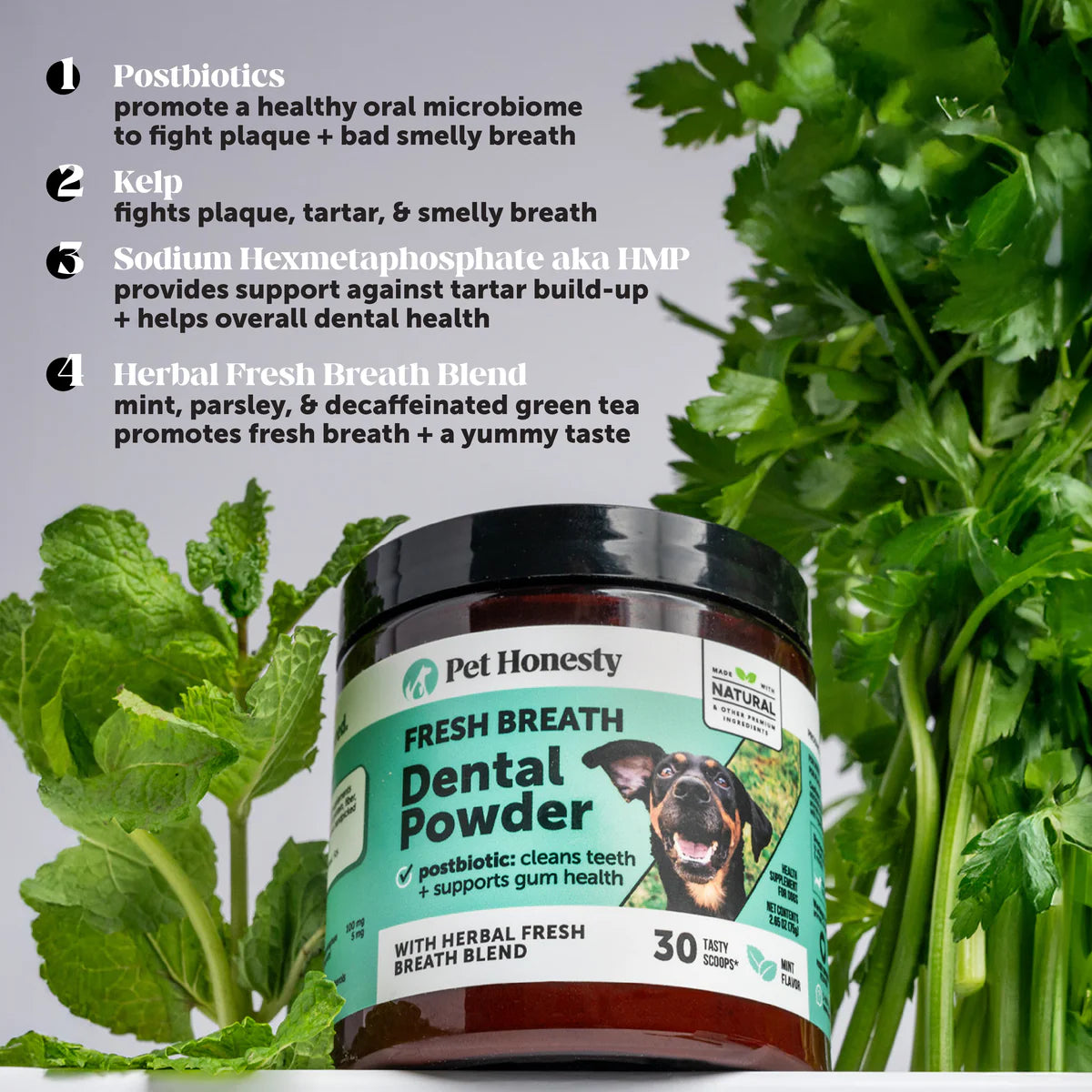 Fresh Breath Dental Powder for Dogs