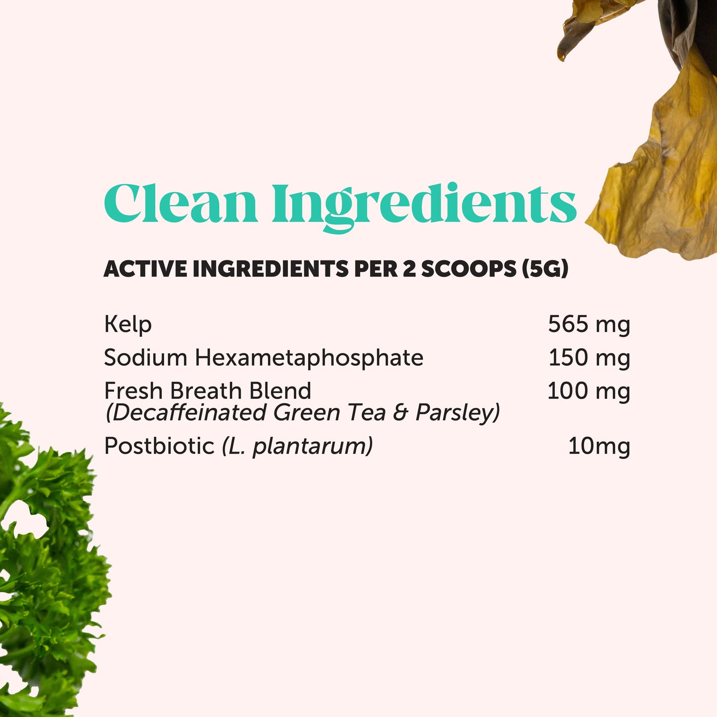 Fresh Breath Dental Powder for Dogs