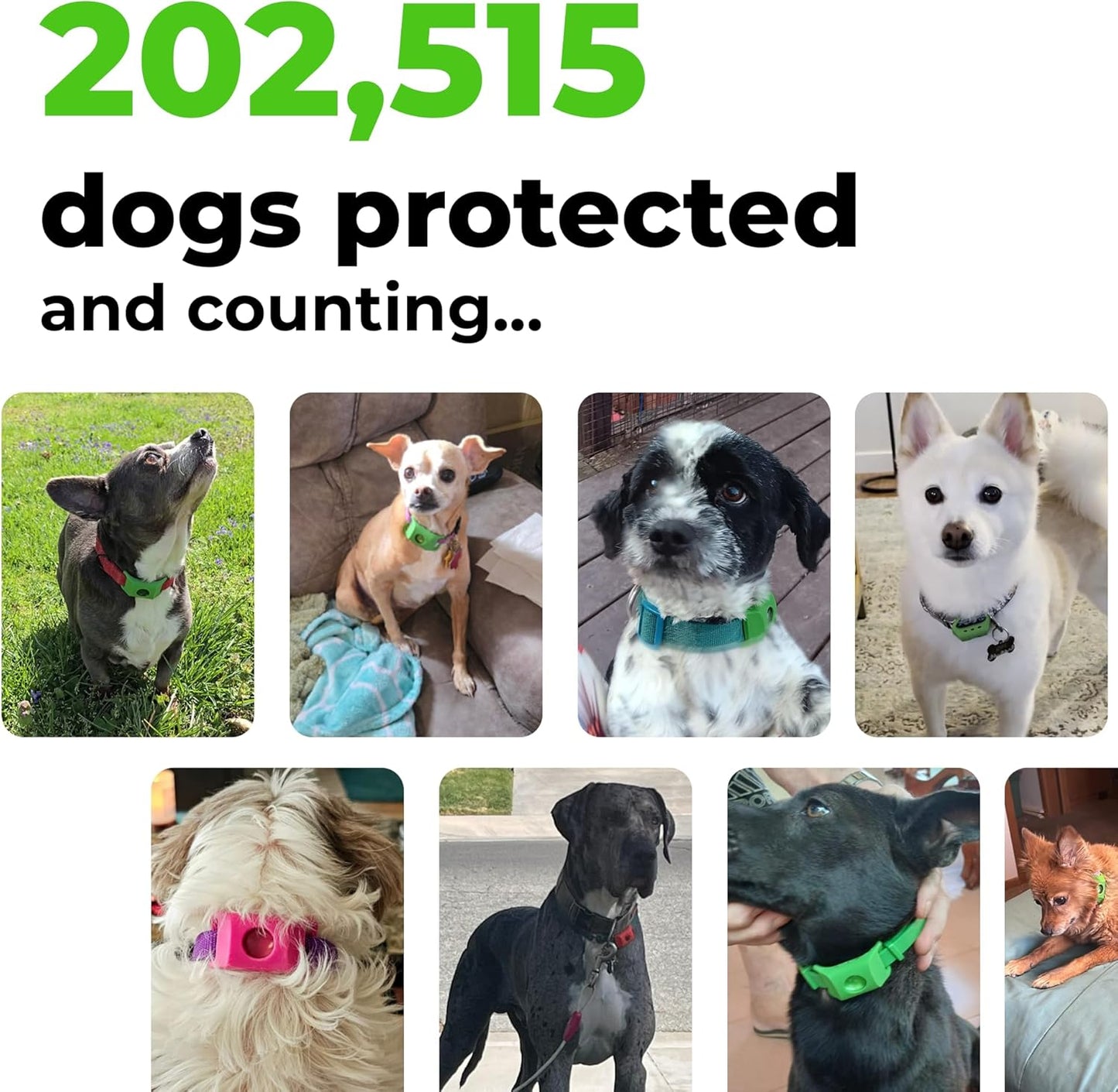 FurLife™ - 12 Months Flea and Tick Tags for Dogs