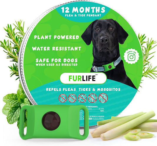 FurLife™ - 12 Months Flea and Tick Tags for Dogs